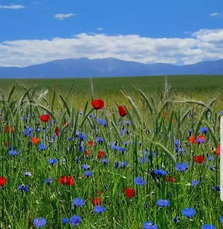 Aurea Casa de Férias La Losa