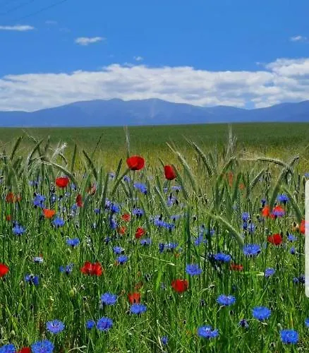 Aurea 펜션 La Losa